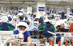 Dệt may TNG báo lãi 8 tháng đầu năm 142 tỷ đồng, hoàn thành 81% kế hoạch lợi nhuận năm
