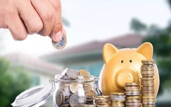 Cổ phiếu giao dịch quanh vùng đỉnh, Dệt may TNG chốt quyền phát hành gần 6,4 triệu cổ phiếu trả cổ tức
