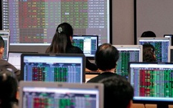 Cá nhân và tổ chức trong nước tập trung gom 'hàng' trong tuần khối ngoại đẩy mạnh bán ròng