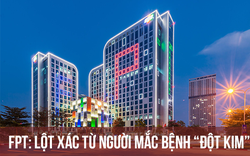 Cú lột xác ngoạn mục từ căn bệnh "đột kim" của FPT: 10 năm chật vật quay lại mức vốn hóa 1,5 tỷ USD, nhưng chỉ mất 2 năm để tăng gấp 3 giá trị