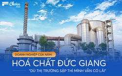 Bí mật của Hóa chất Đức Giang: Làm thế nào để dù thị trường có sập, mình vẫn có lãi?