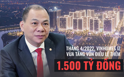 2 năm sau tuyên bố của Chủ tịch Phạm Nhật Vượng tại ĐHCĐ 2020, một công ty con trong Vingroup đã tăng vốn điều lệ tới... 264 lần
