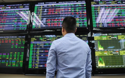 BSC: VN-Index có thể hướng đến vùng 1.300 – 1.320 điểm trong tháng 8