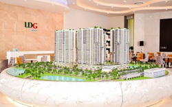 Năm 2022, LDG chỉ lãi 4 tỷ đồng - cách xa kỳ vọng 310 tỷ đồng