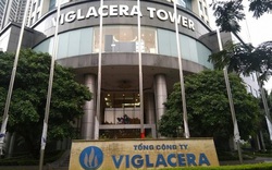 Viglacera đặt mục tiêu doanh thu 2023 cao kỷ lục, lợi nhuận "đi lùi" 44%