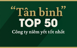 Tân binh trong Top 50 công ty niêm yết tốt nhất