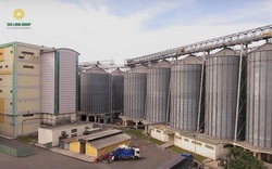 Siba Holdings chính thức trở thành cổ đông lớn của CTCP nông nghiệp BAF