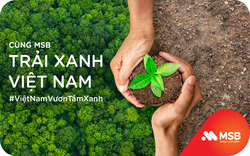 MSB và hành trình trải xanh Việt Nam