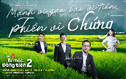 Cổ phiếu ngành gạo - Cơ hội cho ai?