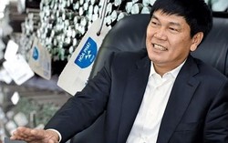 Bất chấp "cơn lốc xoáy", Hòa Phát vẫn cố thủ ở top 1 công ty vật liệu xây dựng 2023, Vicostone và Viglacera thăng hạng vượt mặt Hoa Sen