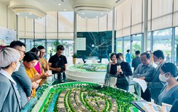 Bước vào cuộc đua mới, thị trường bất động sản đang dần hồi phục?