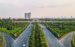 Vụ 'thổi giá cây xanh' Hà Nội: Đường đi của cây trồng nhập lậu từ Trung Quốc