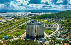 Khi condotel thoái trào, căn hộ chung cư ven biển phát triển mạnh mẽ
