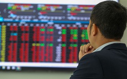 Các Công ty Chứng khoán dự báo ra sao về VN-Index năm 2024?