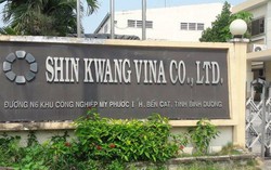 Doanh nghiệp FDI ‘xù’ tiền tỷ nợ thuế rồi bỏ về nước