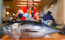 1 loại cá được người Nhật yêu thích giúp dưỡng thận, hạ đường huyết hiệu quả: Ăn nhiều còn giúp trí não phát triển