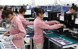 Hơn 1.000 doanh nghiệp làm việc xuyên Tết, xuất khẩu tăng vọt