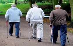 Người có tuổi thọ ngắn thường có 3 "bất thường" này khi đi bộ: Sau tuổi 65, nhớ thêm 3 "dưỡng chất" này cơ thể còn khỏe hơn tập thể dục
