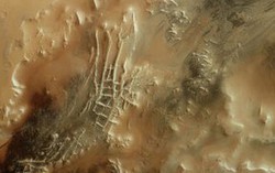 Phát hiện sốc từ Sao Hỏa: "Nhện" khổng lồ cạnh Thành phố Inca