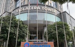 Viglacera đặt kế hoạch kinh doanh 2024 "đi lùi", dự kiến chia cổ tức tỷ lệ 20% bằng tiền