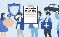 Thu nhập thấp nên mua loại bảo hiểm nhân thọ nào?