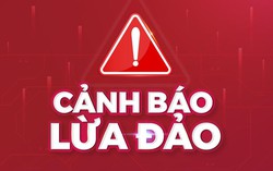 Người phụ nữ sử dụng 11 tài khoản ngân hàng để lừa đảo, chuyển tiền "qua mặt" công an