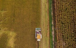 AI NEWS - Nền tảng tin tức chứng khoán