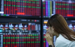 Chứng khoán hôm nay: Mọi thành quả bị xóa sạch trong 10 phút