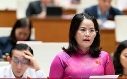 Đề nghị trợ cấp tối thiểu 12 tháng lương cho viên chức mất việc do sắp xếp