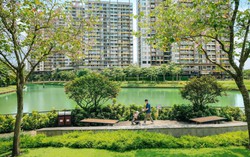 Tập đoàn Nam Long - 33 năm vun đắp, kiến tạo “Di sản sống” bền vững cho người Việt