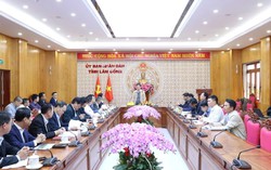 Tuyến cao tốc thích ứng với biến đổi khí hậu vùng đồi núi được địa phương đồng thuận cao