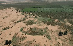 Trung Quốc ‘vỡ mộng’: Tốn 50 năm trồng 66 tỷ cây làm Vạn Lý Trường Thành nhưng vẫn bị sa mạc 'nuốt chửng' đất, tham vọng chế ngự thiên nhiên có khả thi?