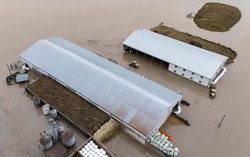 Trận lũ lịch sử cuốn trôi nhà cửa, cô lập hàng nghìn gia đình ở bang Washington