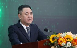 Phó Thống đốc: Dư nợ tín dụng xanh đạt khoảng 750.000 tỷ đồng