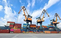 Nhóm Viconship muốn nâng mạnh tỷ lệ sở hữu tại Xếp dỡ Hải An