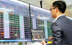 Tăng hơn 500 điểm trong năm 2025, VN-Index lên đỉnh cao lịch sử