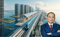 AI NEWS - Nền tảng tin tức chứng khoán
