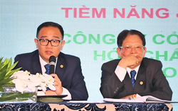 AI NEWS - Nền tảng tin tức chứng khoán