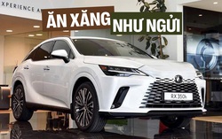 Lexus RX hybrid 2025 giá dự kiến từ 3,5 tỷ đồng tại Việt Nam, dễ bán tháng sau, cạnh tranh X5, Q7 bằng động cơ tiết kiệm như Vios