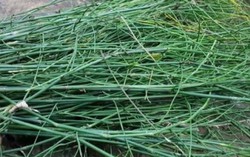 AI NEWS - Nền tảng tin tức chứng khoán