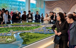 “Tay to” ở Hải Dương mang 200 tỷ đồng tiền mặt sang Hải Phòng buôn đất sau thông tin sáp nhập