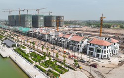 Hàng trăm tỷ đồng phủ xanh đô thị nghỉ dưỡng Sun Group tại Nam Hà Nội