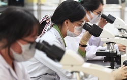 Chuyên gia cao cấp được hưởng chế độ về công vụ tương đương Bộ trưởng