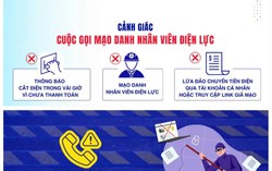 Gia Lai: Giả nhân viên điện lực, lừa đảo hàng trăm triệu đồng