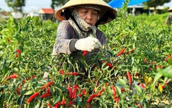 AI NEWS - Nền tảng tin tức chứng khoán