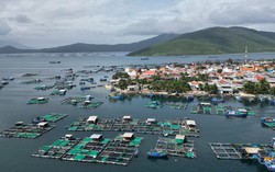 Loạt dự án của Sun Group, Eurowindow, Viglacera, Phương Mai…ở Vân Phong hiện nay thế nào?