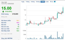 AI NEWS - Nền tảng tin tức chứng khoán