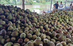 AI NEWS - Nền tảng tin tức chứng khoán