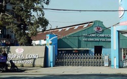 Công ty đồ hộp Hạ Long hoạt động thế nào, ai đang quản lý?