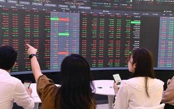 Thị phần môi giới sàn HoSE năm 2025 biến động ra sao?